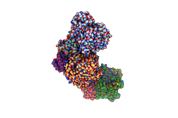 7Z0T image
