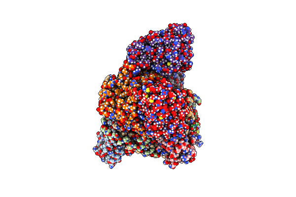 7Z17 image