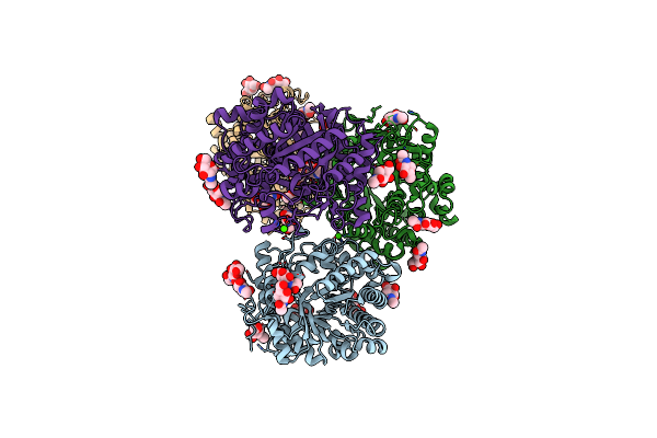 7Z1I image