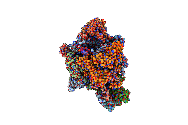 7Z1L image