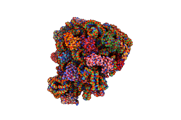 7Z20 image