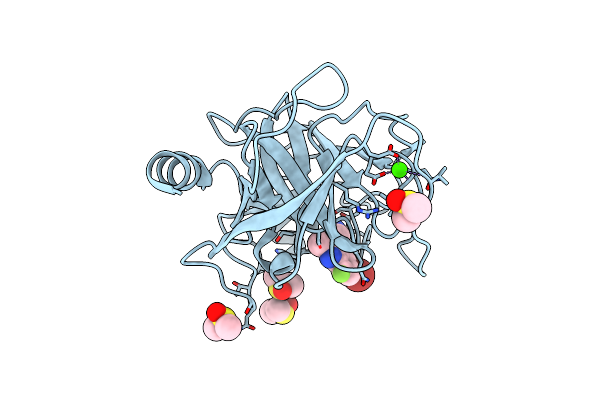 7Z25 image