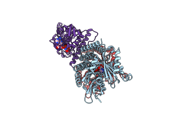 7Z2B image