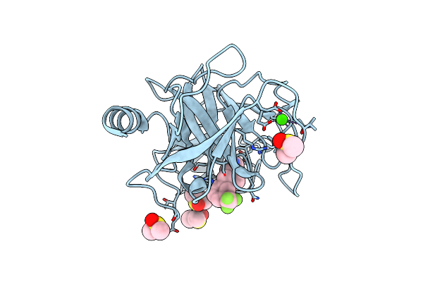 7Z2I image