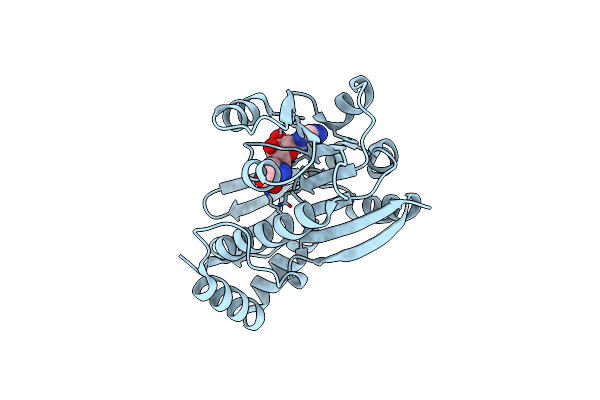 7Z2J image