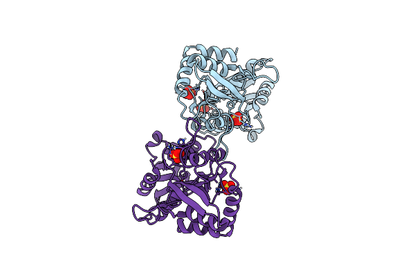 7Z2R image