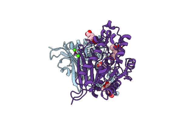 7Z2U image