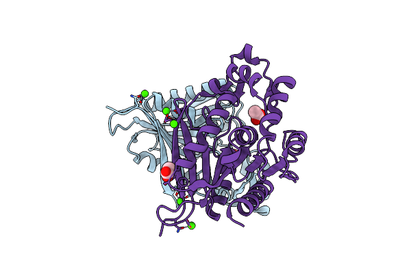 7Z2V image