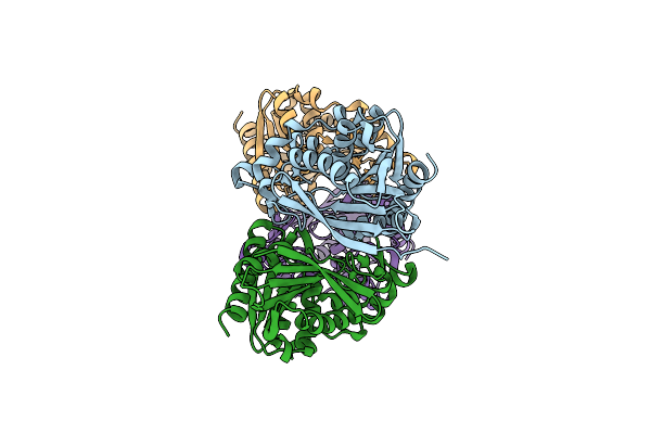7Z2X image