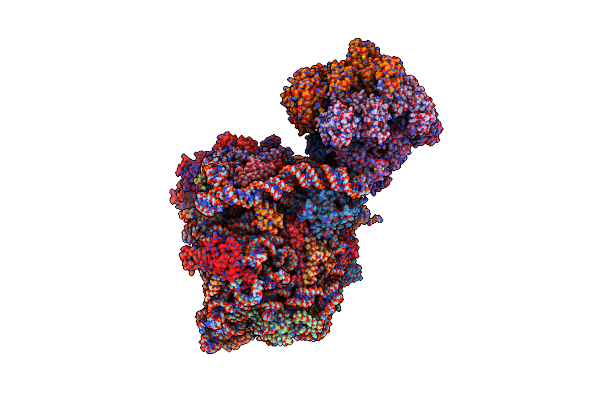 7Z34 image
