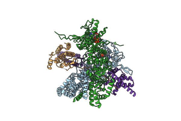 7Z37 image