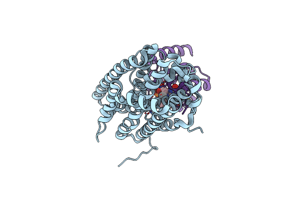 7Z3D image