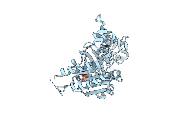 7Z3M image