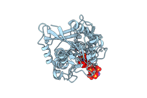 7Z3V image