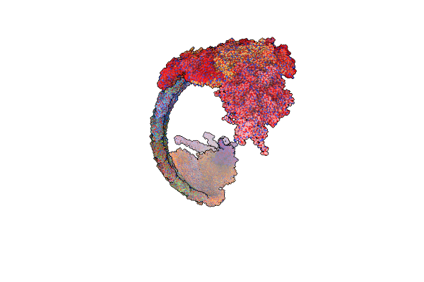 7Z4B image