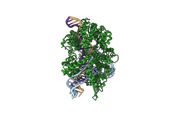 7Z4C image