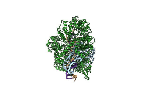 7Z4K image