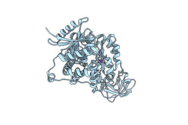 7Z4R image