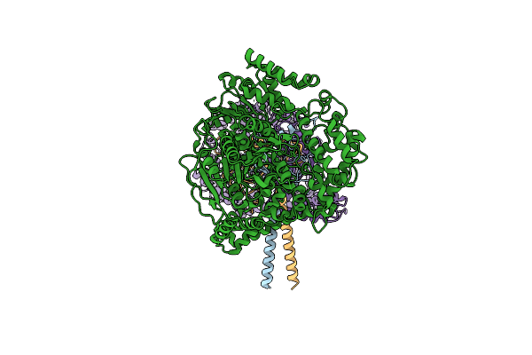 7Z4Y image