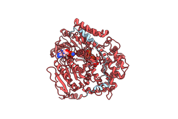 7Z52 image