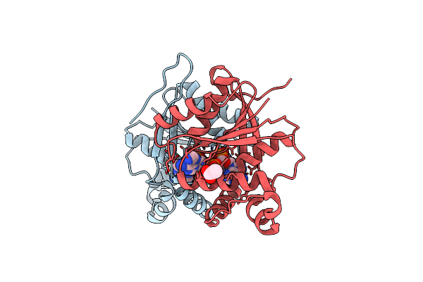 7Z55 image