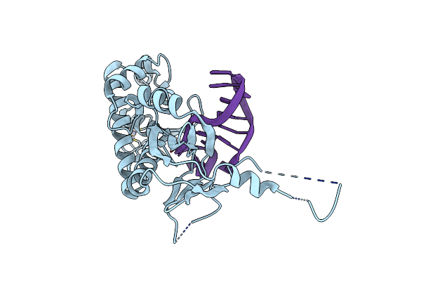 7Z5A image