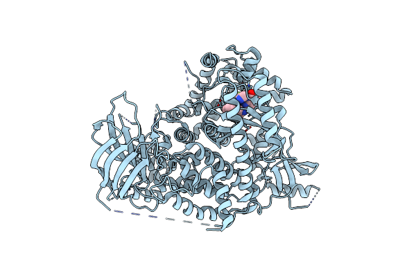 7Z61 image