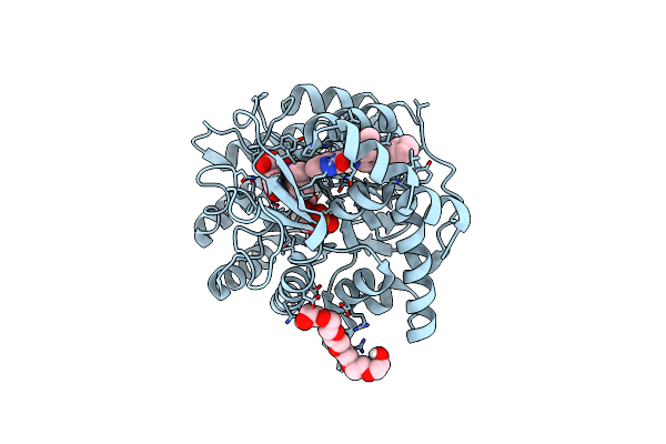 7Z6C image