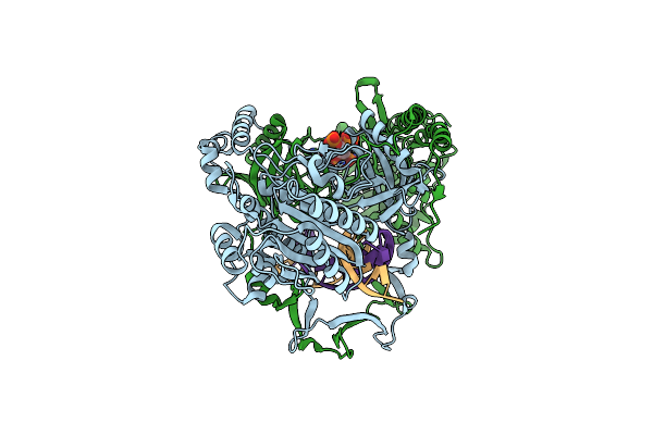 7Z6O image
