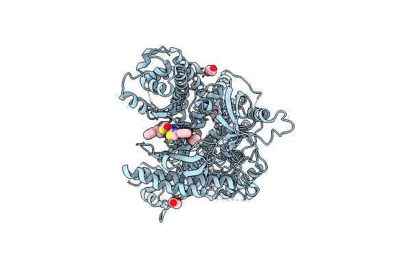 7Z74 image
