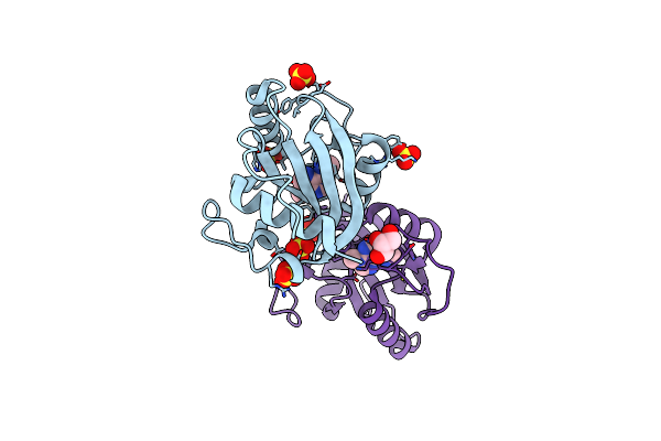 7Z7B image