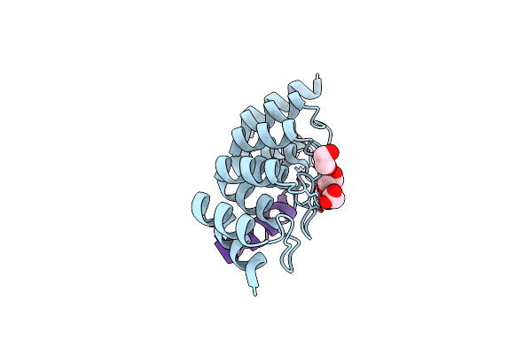 7Z7C image