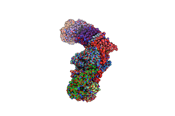7Z7R image