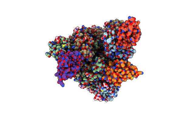 7Z7X image