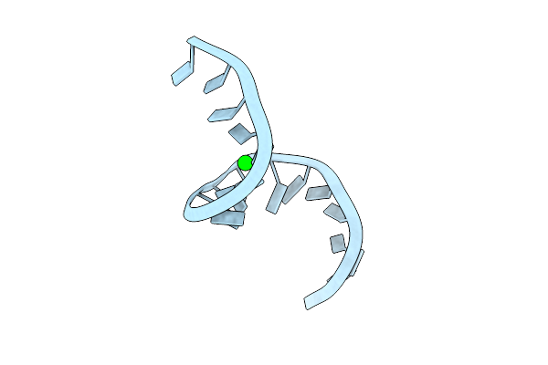 7Z7Z image