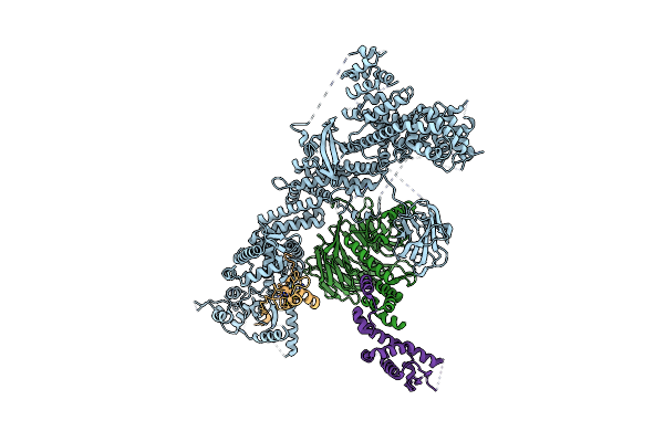 7Z8B image