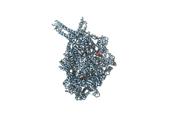 7Z8G image