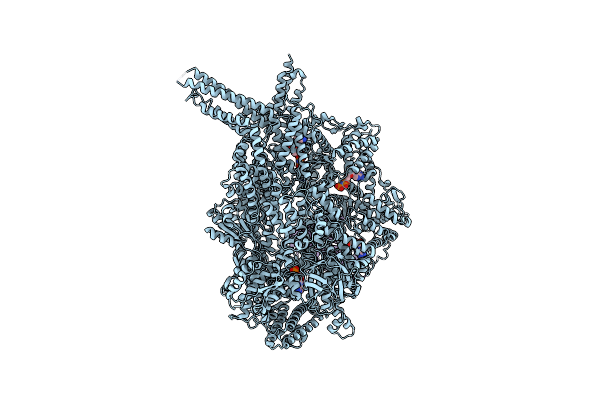 7Z8L image