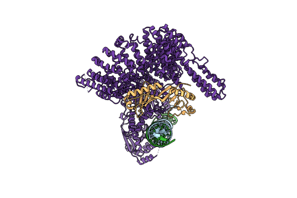 7Z8S image