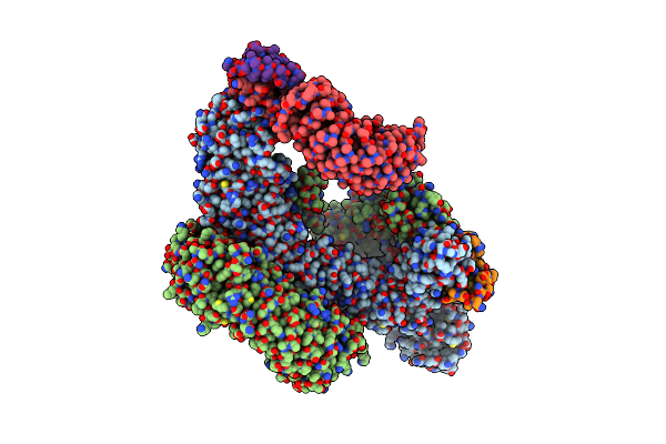 7Z8V image