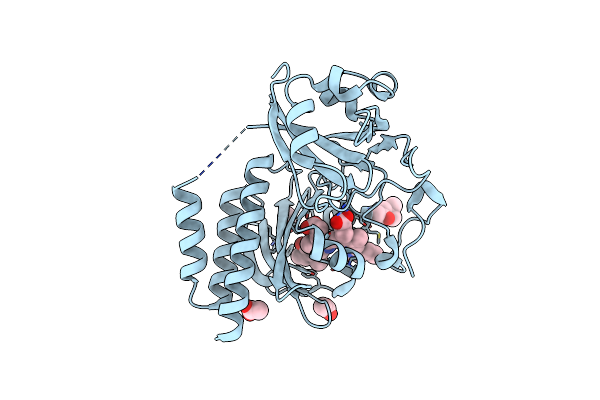 7Z9D image