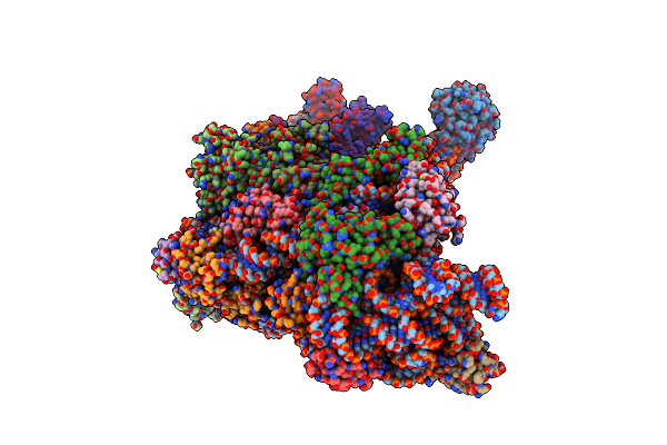 7ZAG image