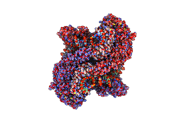 7ZB5 image