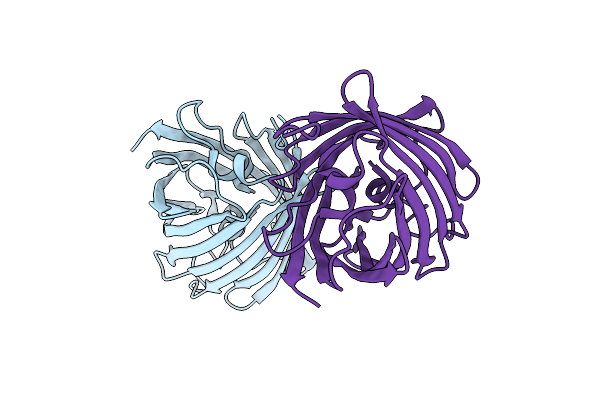 7ZCT image