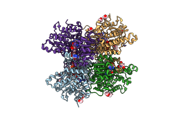 7ZD3 image