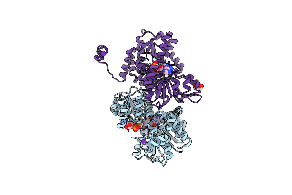 7ZD9 image