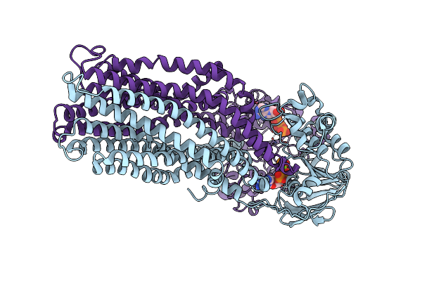 7ZDA image