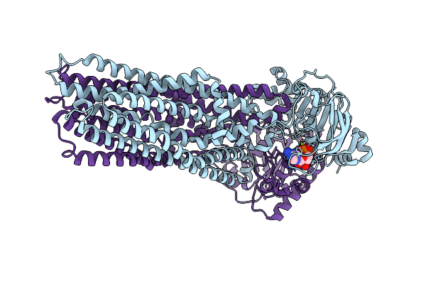 7ZDT image