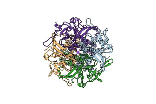 7ZDZ image