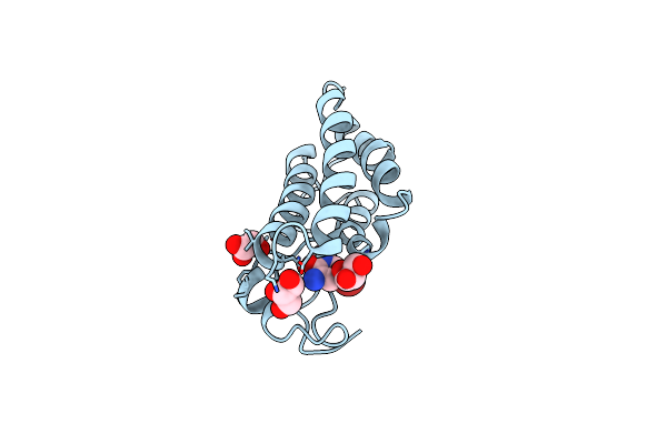 7ZFT image